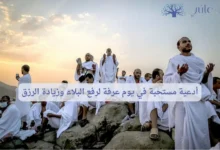 أدعية مستحبة في يوم عرفة لرفع البلاء وزيادة الرزق